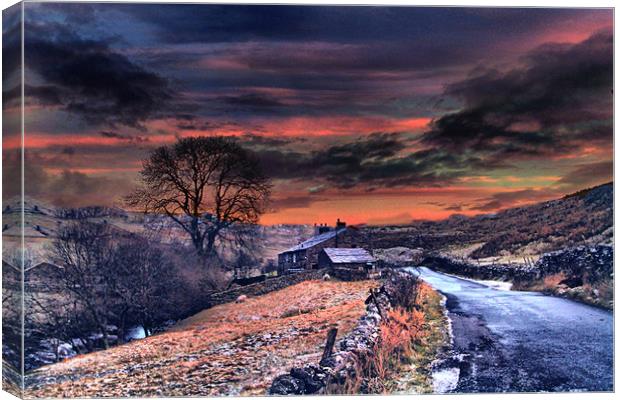 Winter in the Dales Canvas Print by Irene Burdell