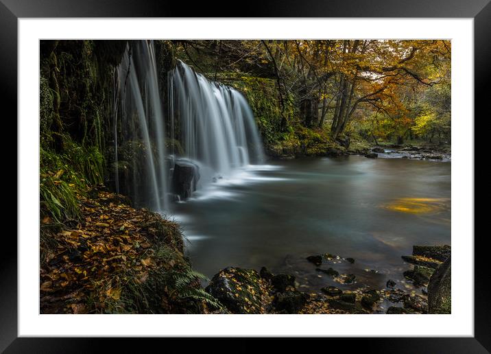 The fall in Fall Framed Mounted Print by Philip Male