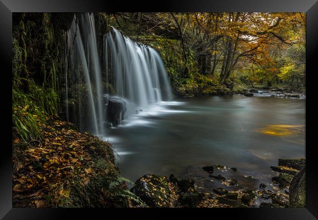 The fall in Fall Framed Print by Philip Male