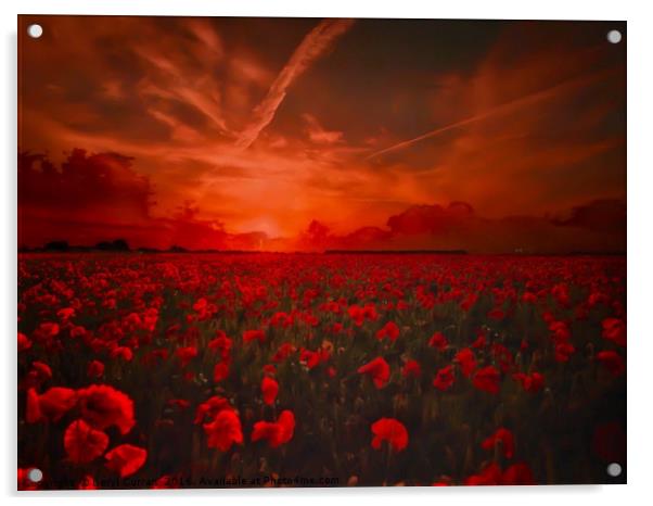 Lest We Forget Poppy Field Acrylic by Beryl Curran