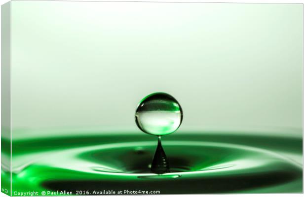 Little green water drop Canvas Print by Paul Allen