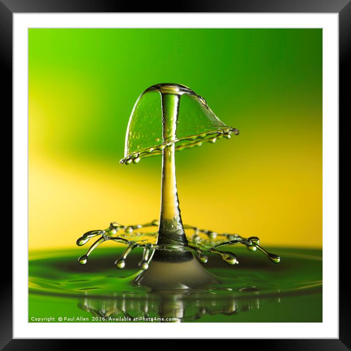 A double water drop collision Framed Mounted Print by Paul Allen
