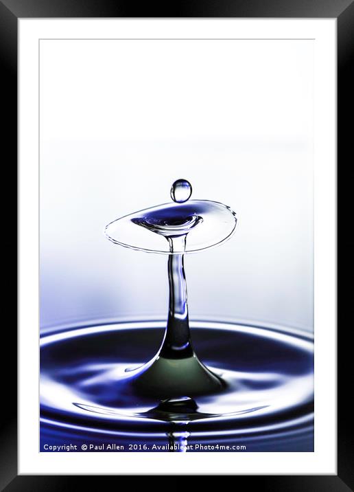 Dainty blue and white water drop Framed Mounted Print by Paul Allen