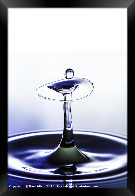 Dainty blue and white water drop Framed Print by Paul Allen