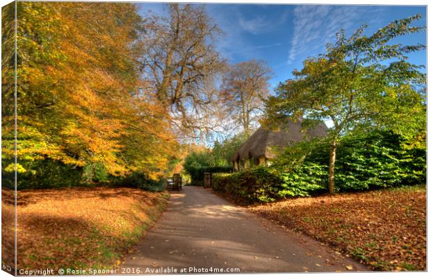 Autumn at Cockington Country Park Canvas Print by Rosie Spooner