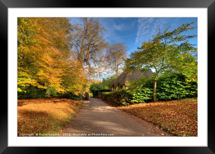 Autumn at Cockington Country Park Framed Mounted Print by Rosie Spooner