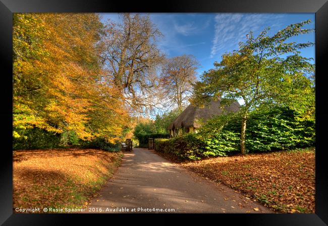 Autumn at Cockington Country Park Framed Print by Rosie Spooner