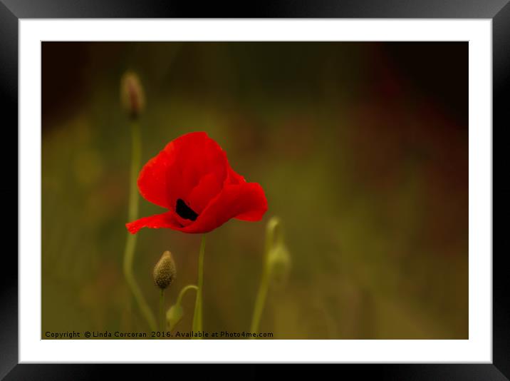 Lest We Forget Framed Mounted Print by Linda Corcoran LRPS CPAGB