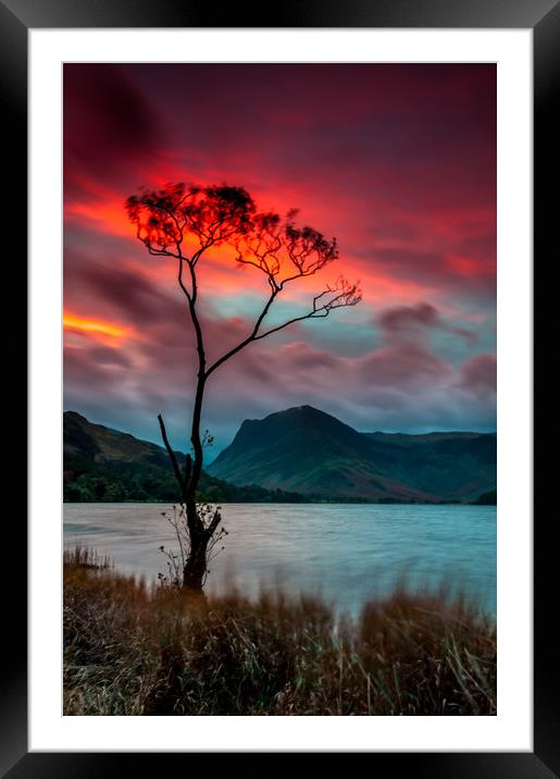 'Lone Tree' Buttermere Sunrise Framed Mounted Print by Paul Andrews