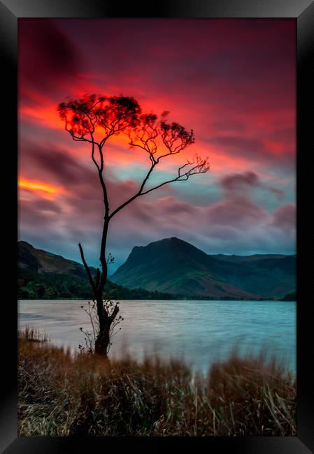 'Lone Tree' Buttermere Sunrise Framed Print by Paul Andrews