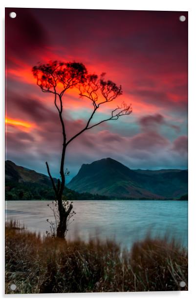 'Lone Tree' Buttermere Sunrise Acrylic by Paul Andrews