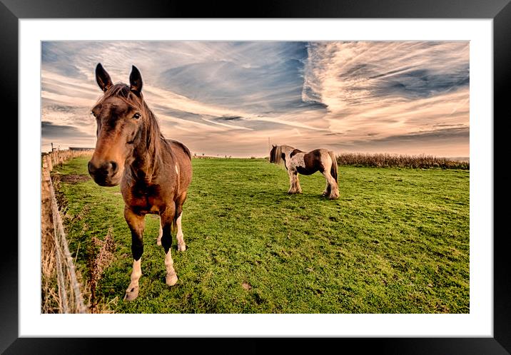Hello Mr Ed Sunset Framed Mounted Print by Naylor's Photography