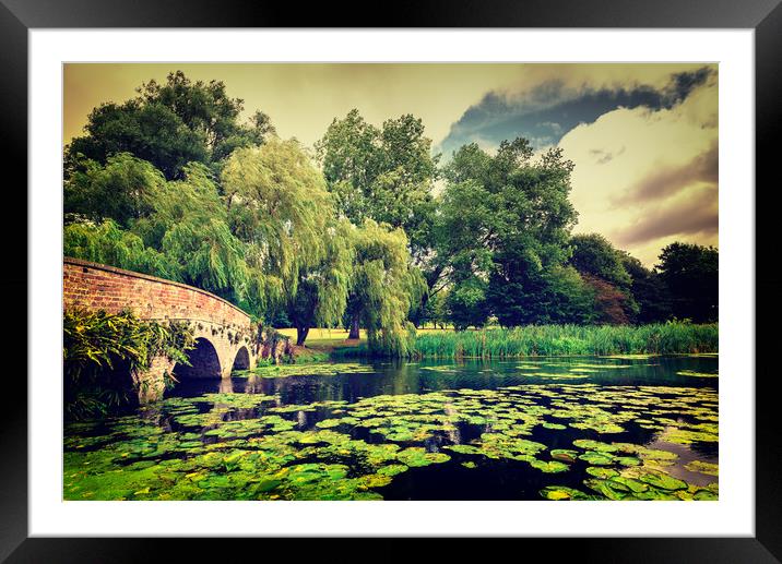 English Lily Pond Framed Mounted Print by John Williams