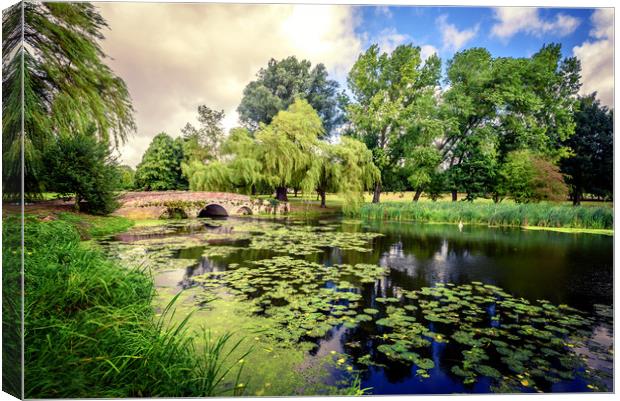 Lily Pond of England Canvas Print by John Williams