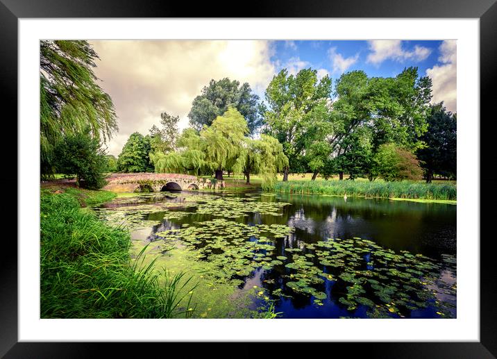 Lily Pond of England Framed Mounted Print by John Williams
