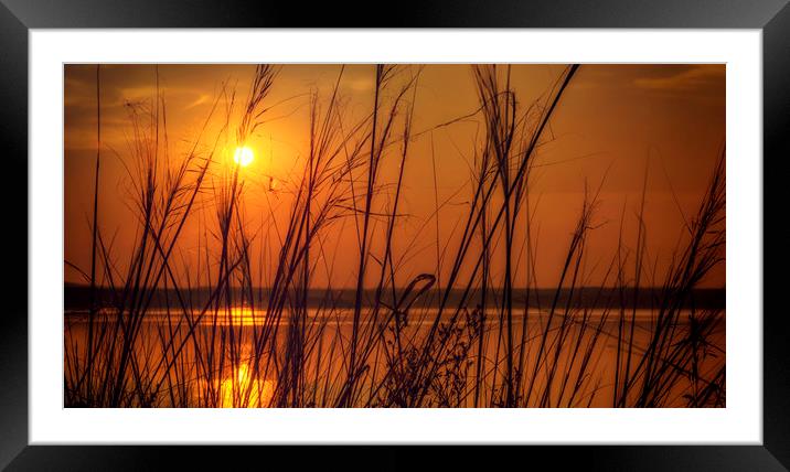 Golden Sunset at the Lake Framed Mounted Print by John Williams