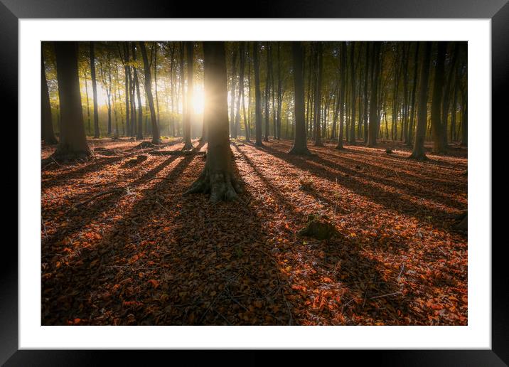 Kingswood Autumn Framed Mounted Print by Ian Hufton