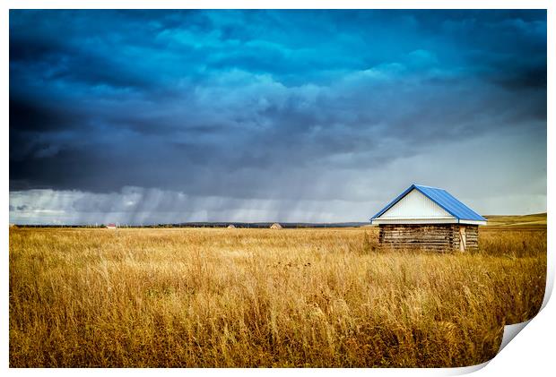 Hut and Rain Print by John Williams
