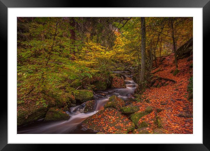 Autumn in Wyming Brook  Framed Mounted Print by Paul Andrews