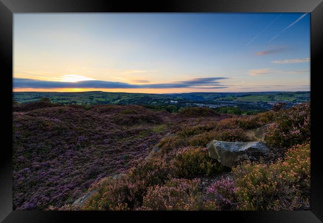 Heather in bloom  Framed Print by chris smith