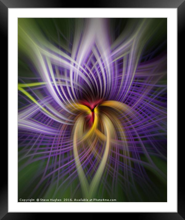 Purple Passion flower manipulation Framed Mounted Print by Steve Hughes
