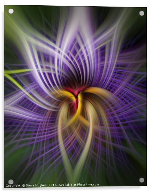 Purple Passion flower manipulation Acrylic by Steve Hughes