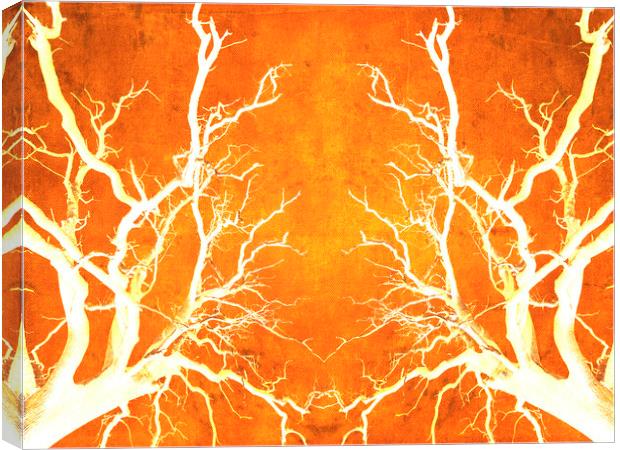Branches of Fire Touch Canvas Print by John Williams