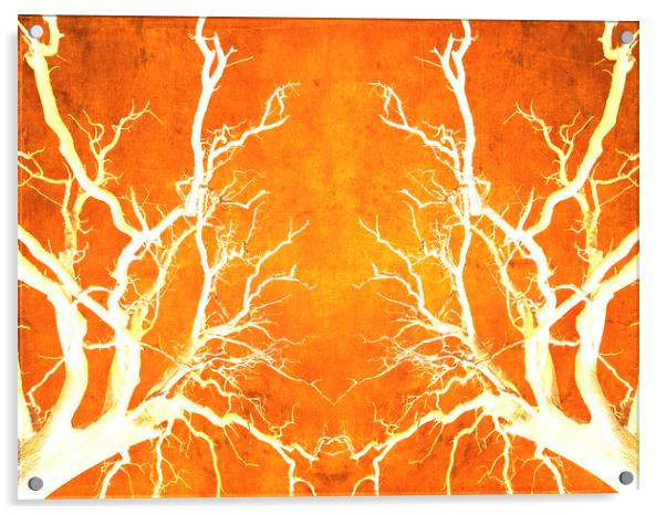Branches of Fire Touch Acrylic by John Williams