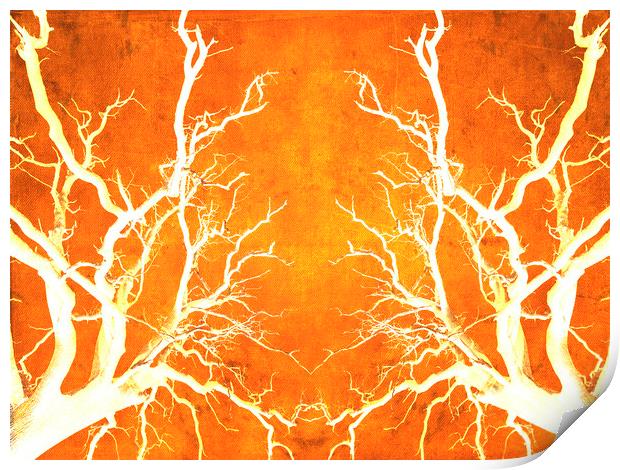 Branches of Fire Touch Print by John Williams