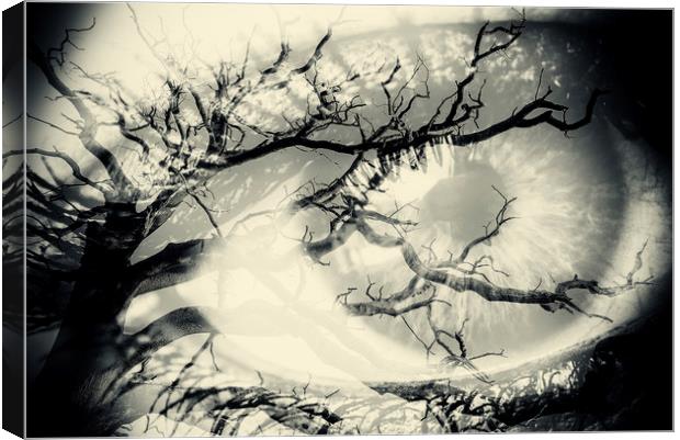 Vision of the Tree Abstract Canvas Print by John Williams