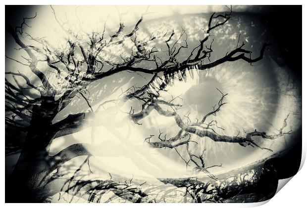 Vision of the Tree Abstract Print by John Williams