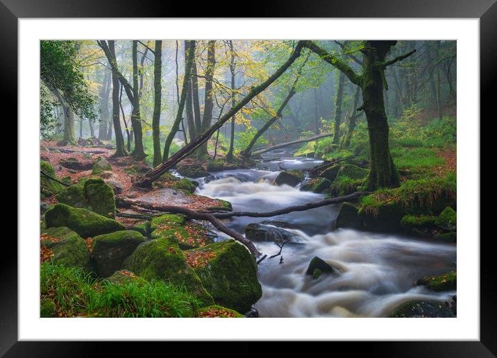 Hint of Autumn at Golitha Falls Framed Mounted Print by Michael Brookes
