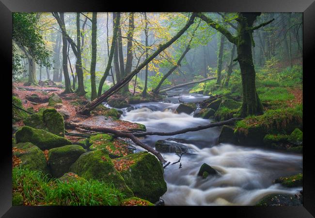 Hint of Autumn at Golitha Falls Framed Print by Michael Brookes
