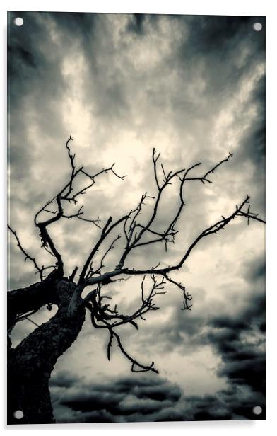 Tree Doom Acrylic by John Williams
