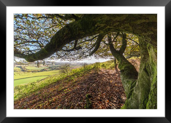 Amazing views over Wiltshire Framed Mounted Print by Philip Cooper