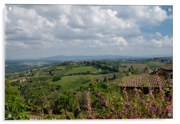 View of Tuscany Acrylic by Ranko Dokmanovic