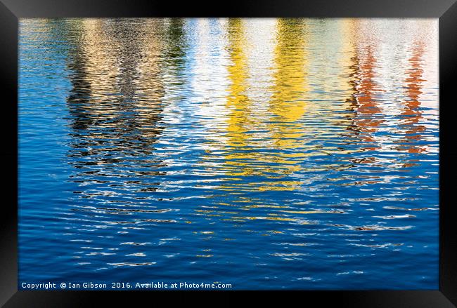 Reflecting (1) Framed Print by Ian Gibson