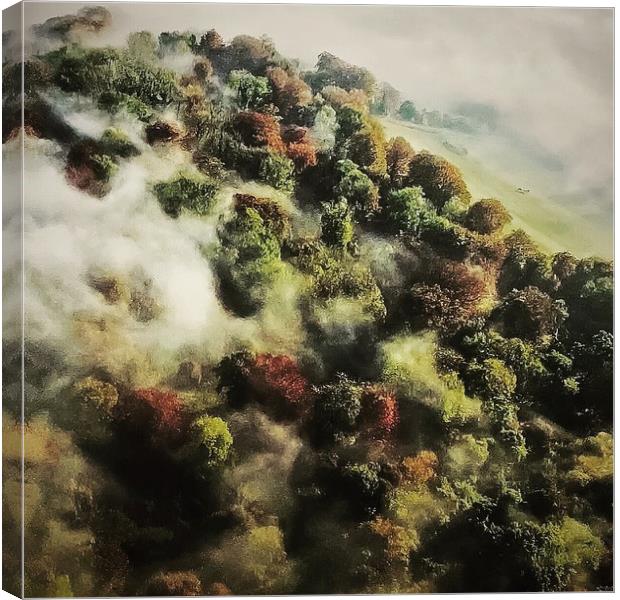 Autumn Mist Canvas Print by Steve Marriott