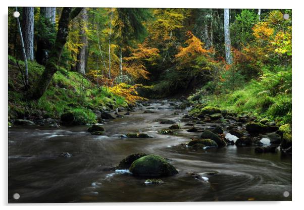 Reelig Glen Acrylic by Macrae Images