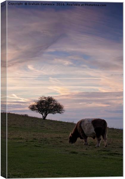 Pitstone Hill Canvas Print by Graham Custance