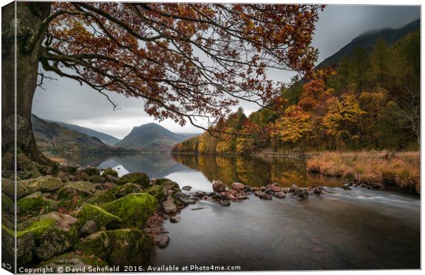 Autumn at Buttermere Canvas Print by David Schofield