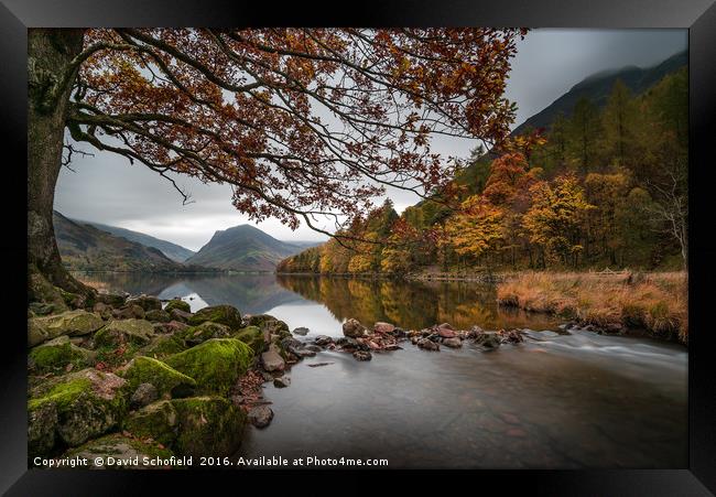 Autumn at Buttermere Framed Print by David Schofield