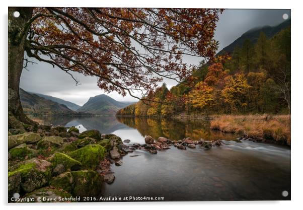 Autumn at Buttermere Acrylic by David Schofield
