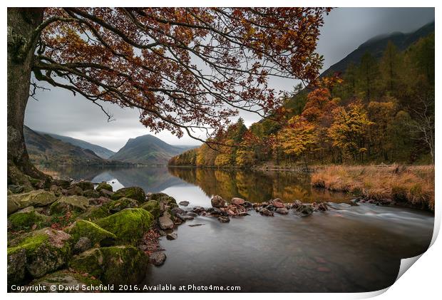 Autumn at Buttermere Print by David Schofield
