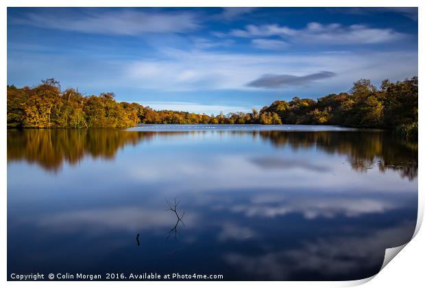 Bolam Lake Tranquil Autumn Blue Print by Colin Morgan
