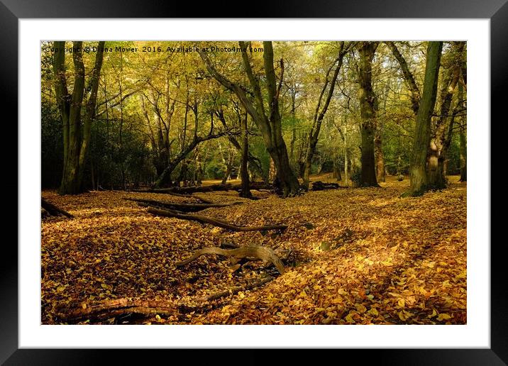 Epping Forest  Framed Mounted Print by Diana Mower