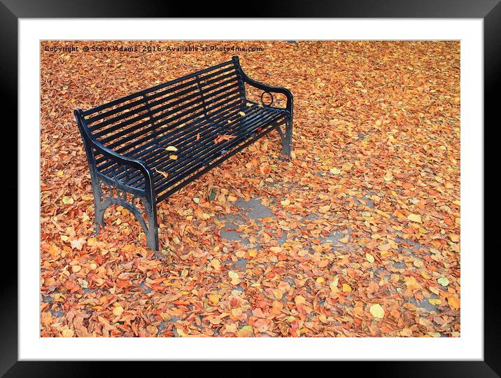 Take a Seat Framed Mounted Print by Steve Adams