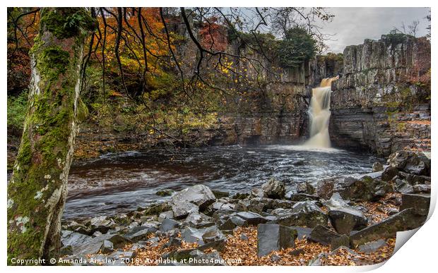 High Force in Teesdale Print by AMANDA AINSLEY