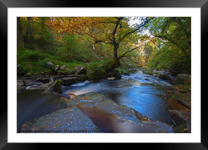 Autumn By the River Framed Mounted Print by Stephen Prosser