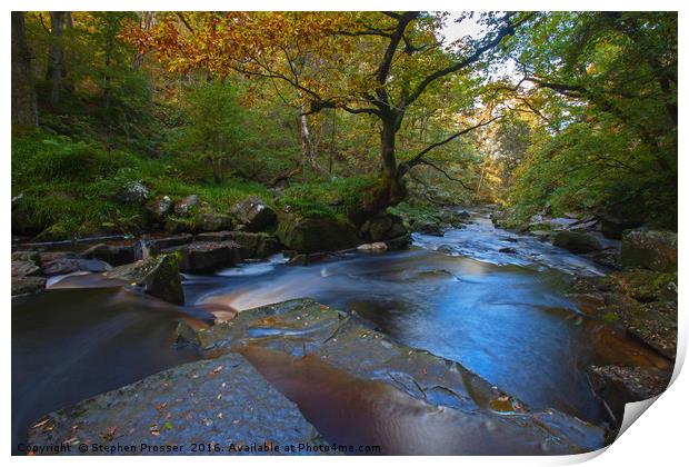 Autumn By the River Print by Stephen Prosser